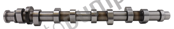 Camshaft (AC2184)