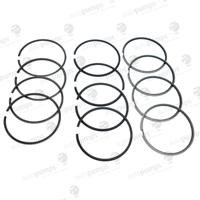 Piston Ring Kit (A2040)