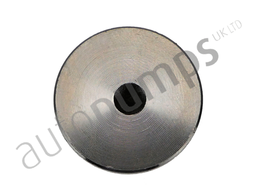 Intake Valve (AIV11010)