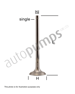 Intake Valve (AIV6038)