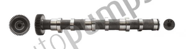 Camshaft (AC072)