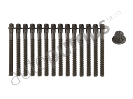 Cylinder Head Bolt Set (AHB5000SET)