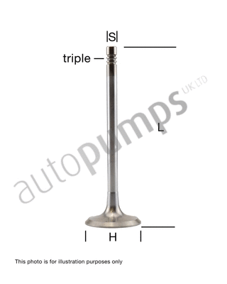 Intake Valve (AIV3410)