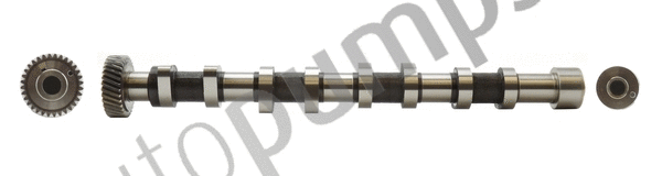 Camshaft (AC2170)