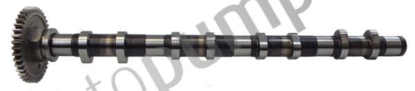 Camshaft (AC2128)