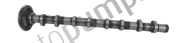 Camshaft