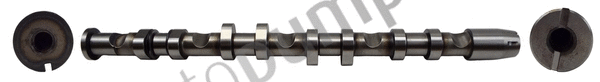 Camshaft (AC2190)