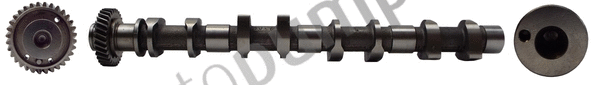 Camshaft (AC8199)