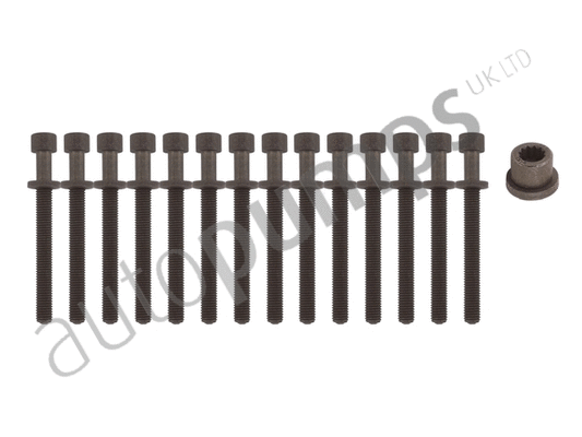 Cylinder Head Bolt Set (AHB217SET)
