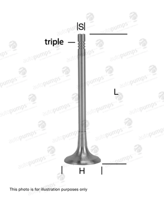 Intake Valve (AIV10057)