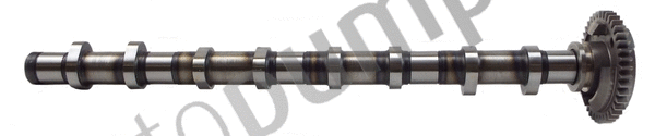Camshaft (AC2127)