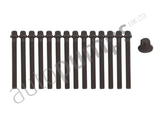 Cylinder Head Bolt Set (AHB5005SET)