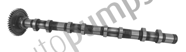 Camshaft
