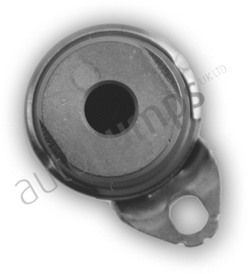 Control Valve, camshaft adjustment (AVVTS1001)