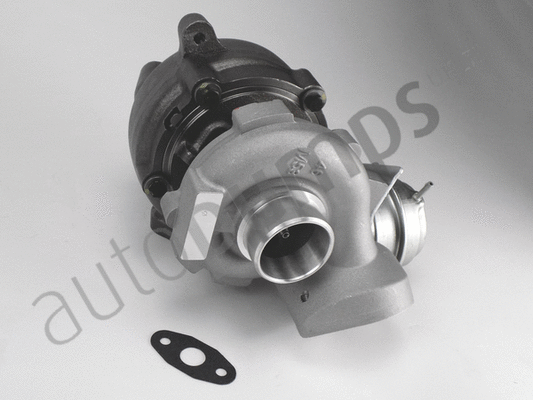 Charger, charging (supercharged/turbocharged)