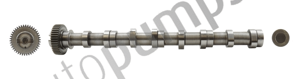 Camshaft (AC2622)