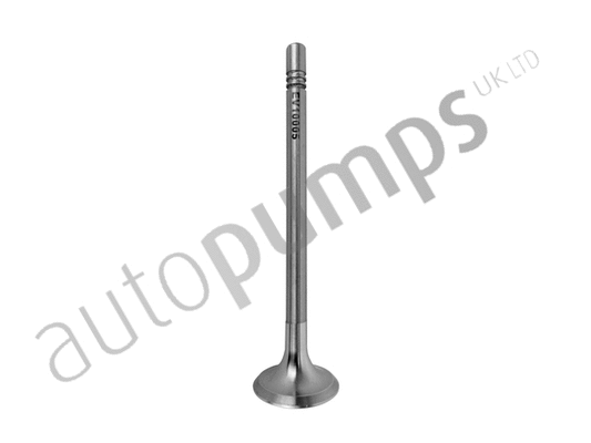 Exhaust Valve (AEV11004)