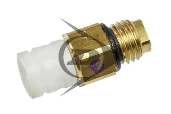 Air Suspension Strut