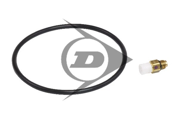 Air Suspension Strut