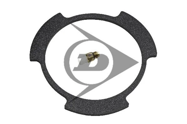 Air Suspension Strut