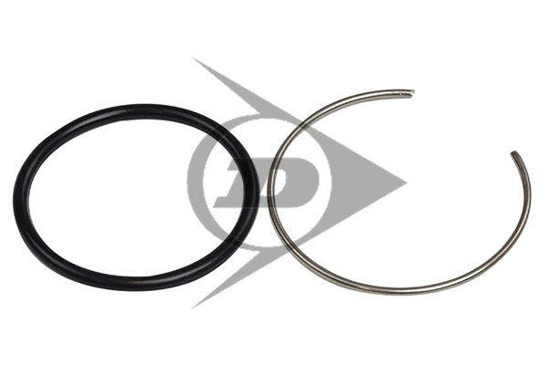 Air Suspension Strut