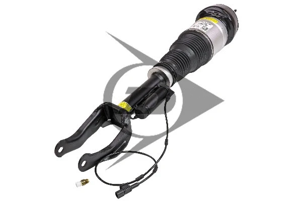 Air Spring, suspension (71171)