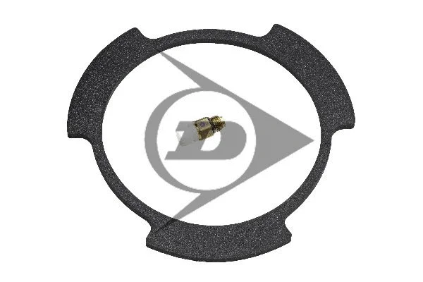 Air Suspension Strut