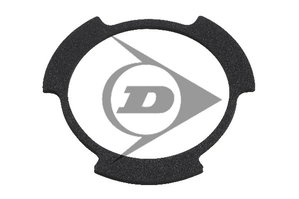 Air Suspension Strut