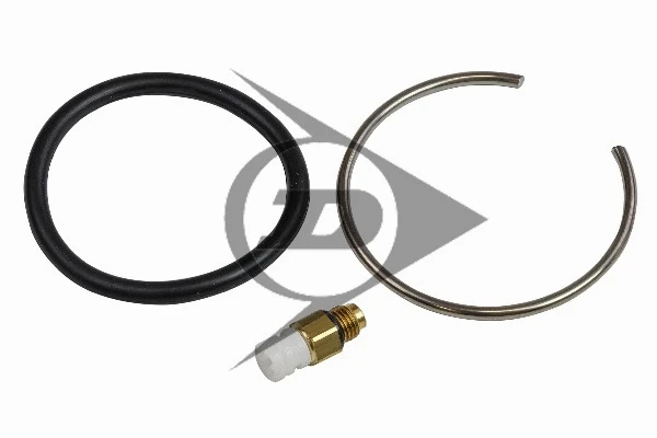 Air Suspension Strut