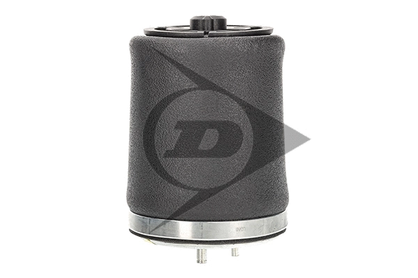 Air Spring, suspension