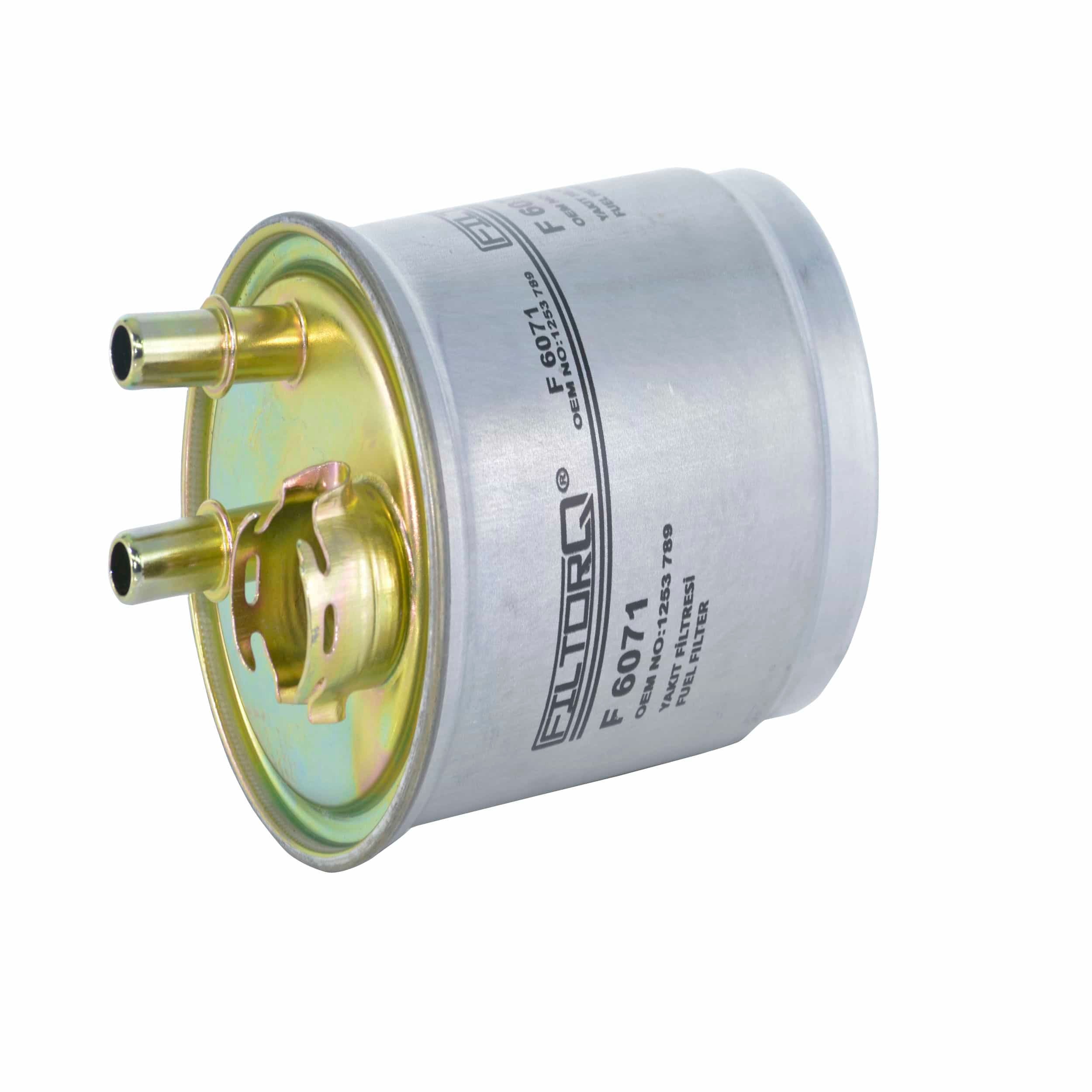 Fuel Filter (F6071)