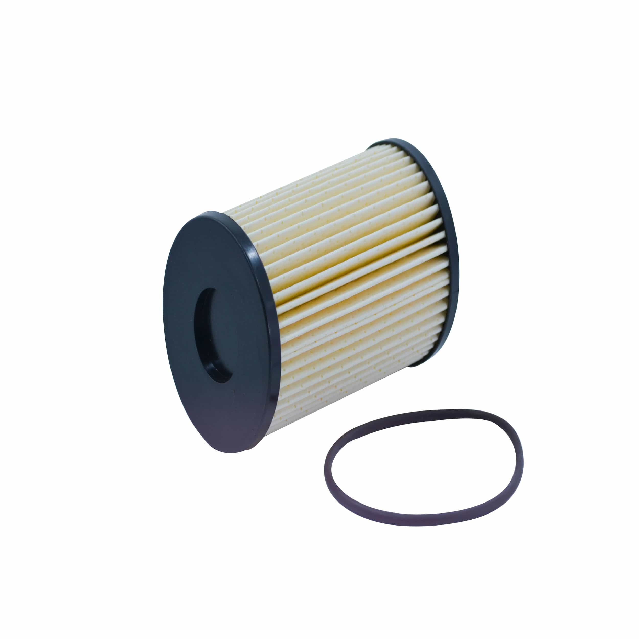 Fuel Filter (F7008)