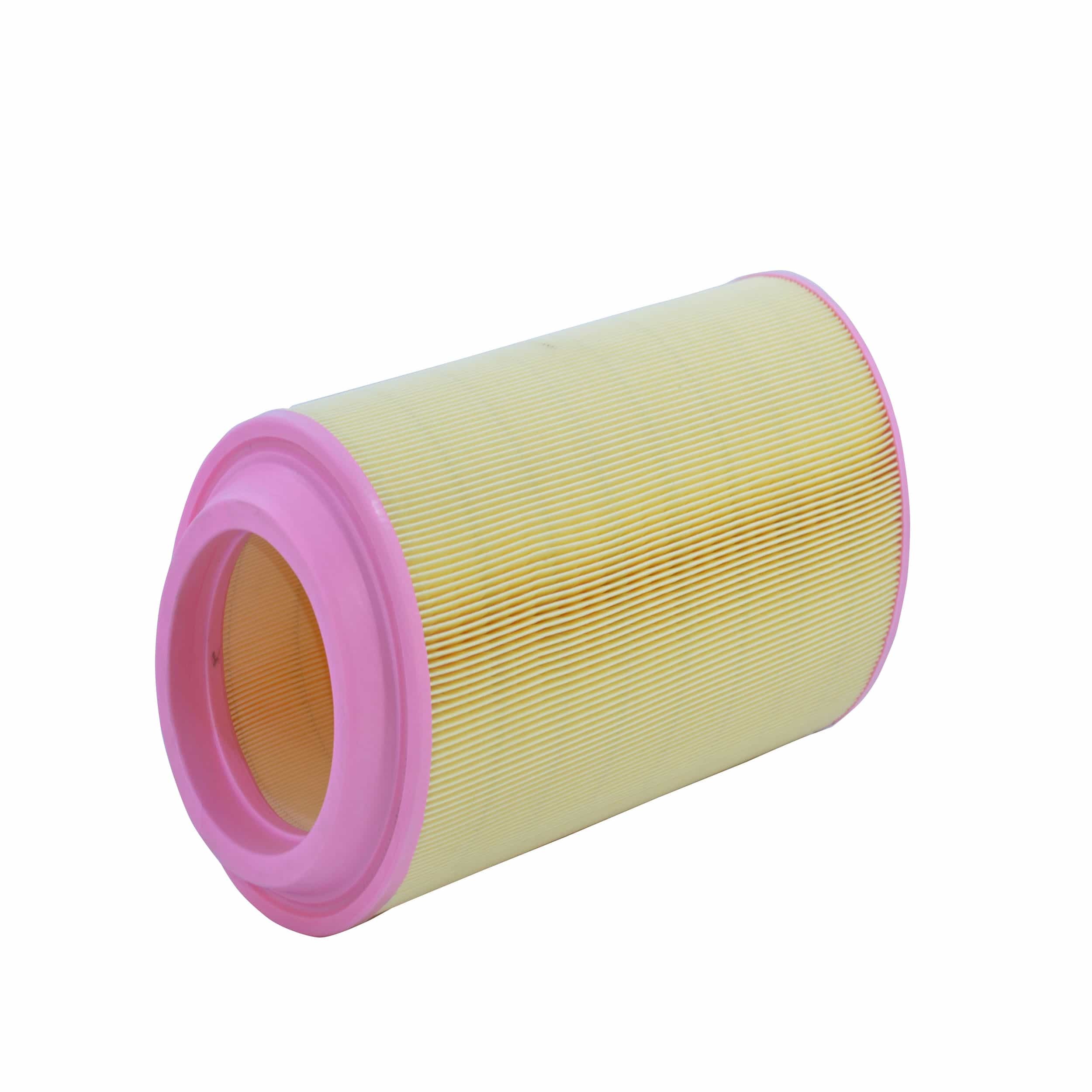 Air Filter (A2717 H)