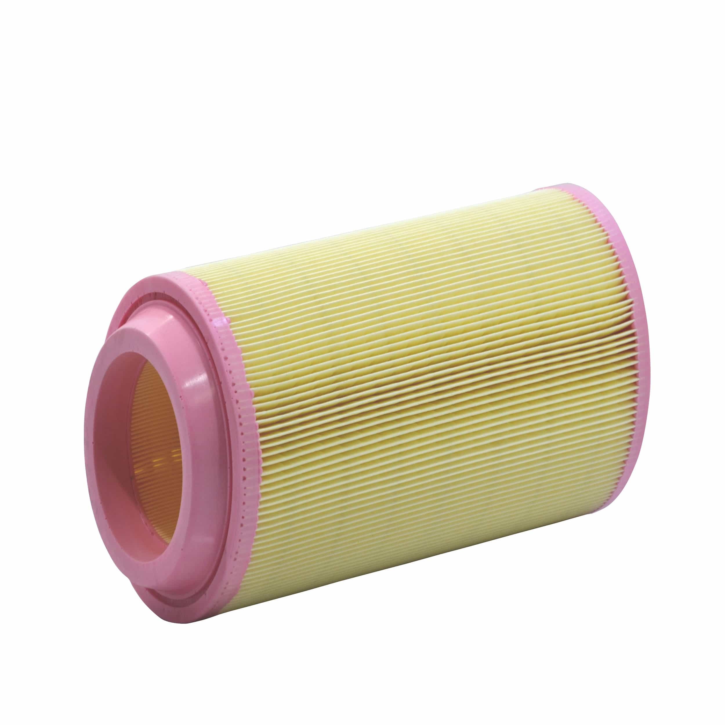 Air Filter (A2719 H)