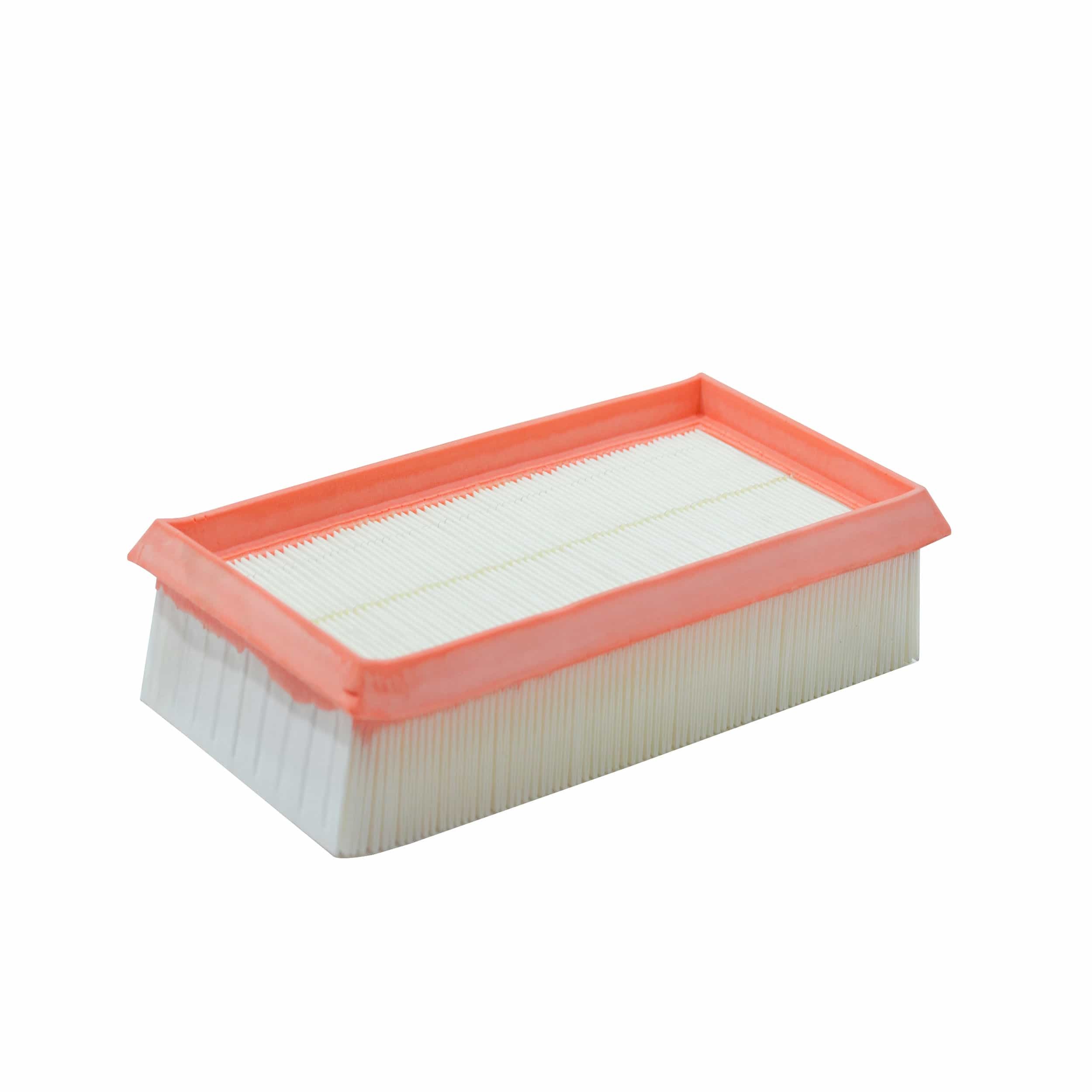 Air Filter (A1113)