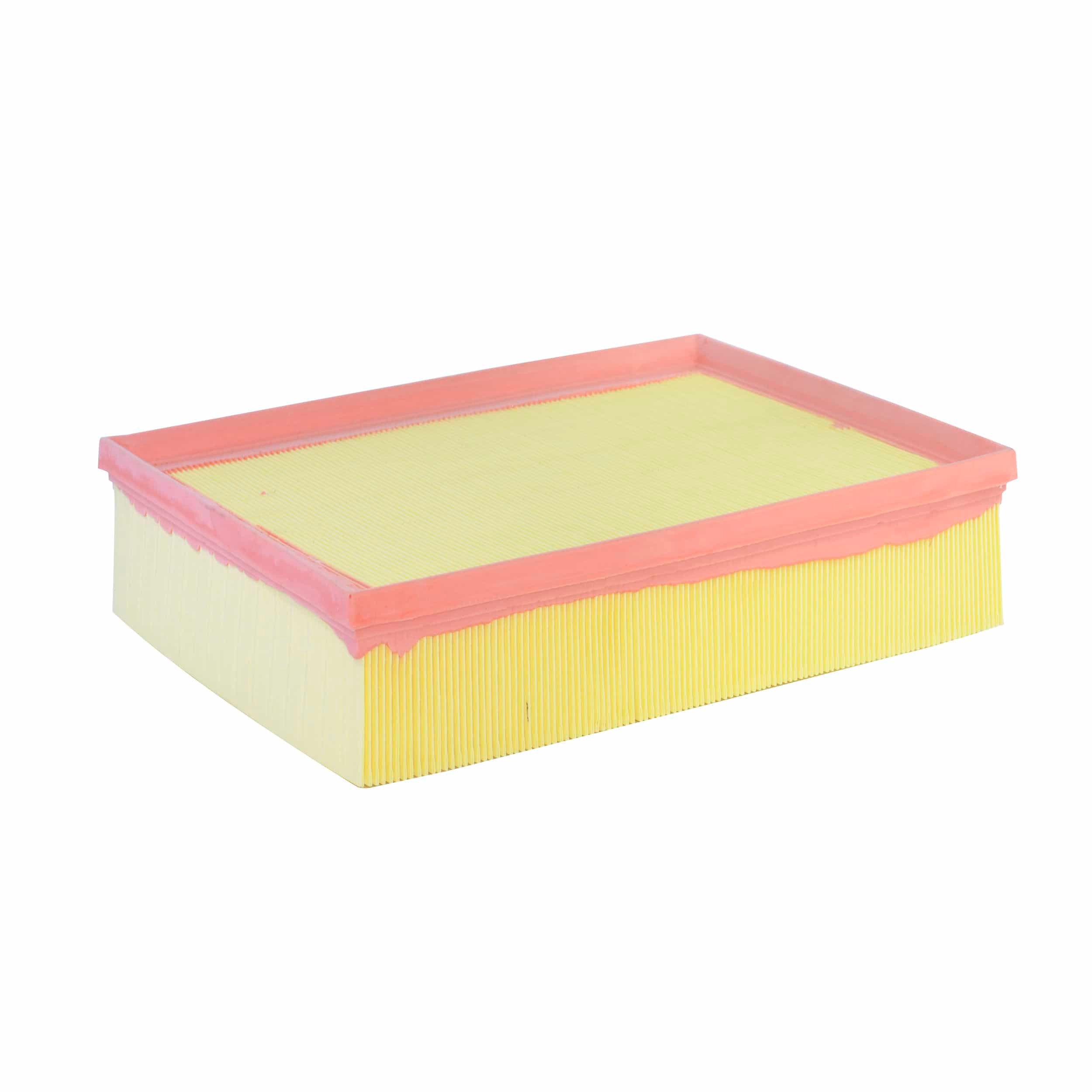 Air Filter (A1351)