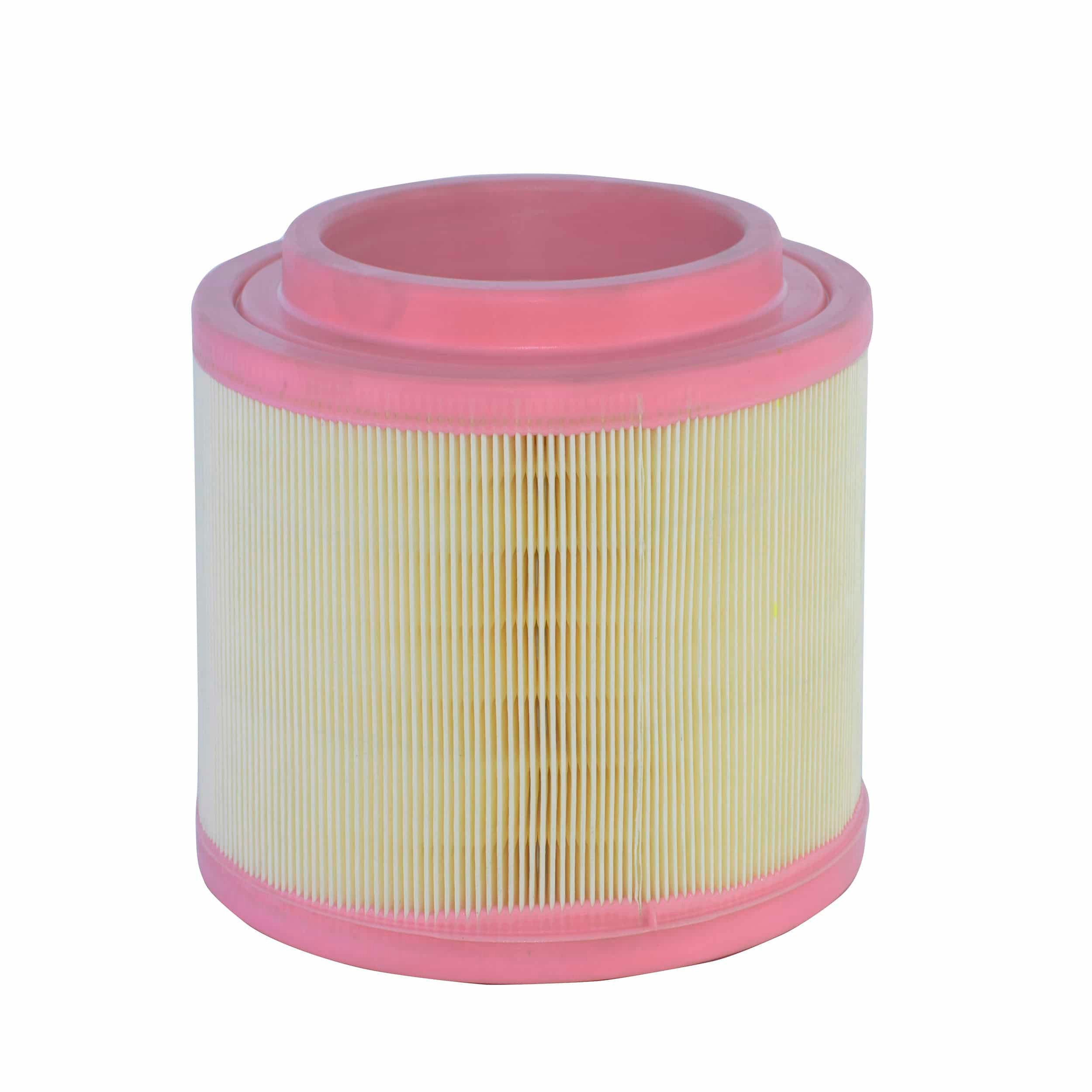 Air Filter (A2803)