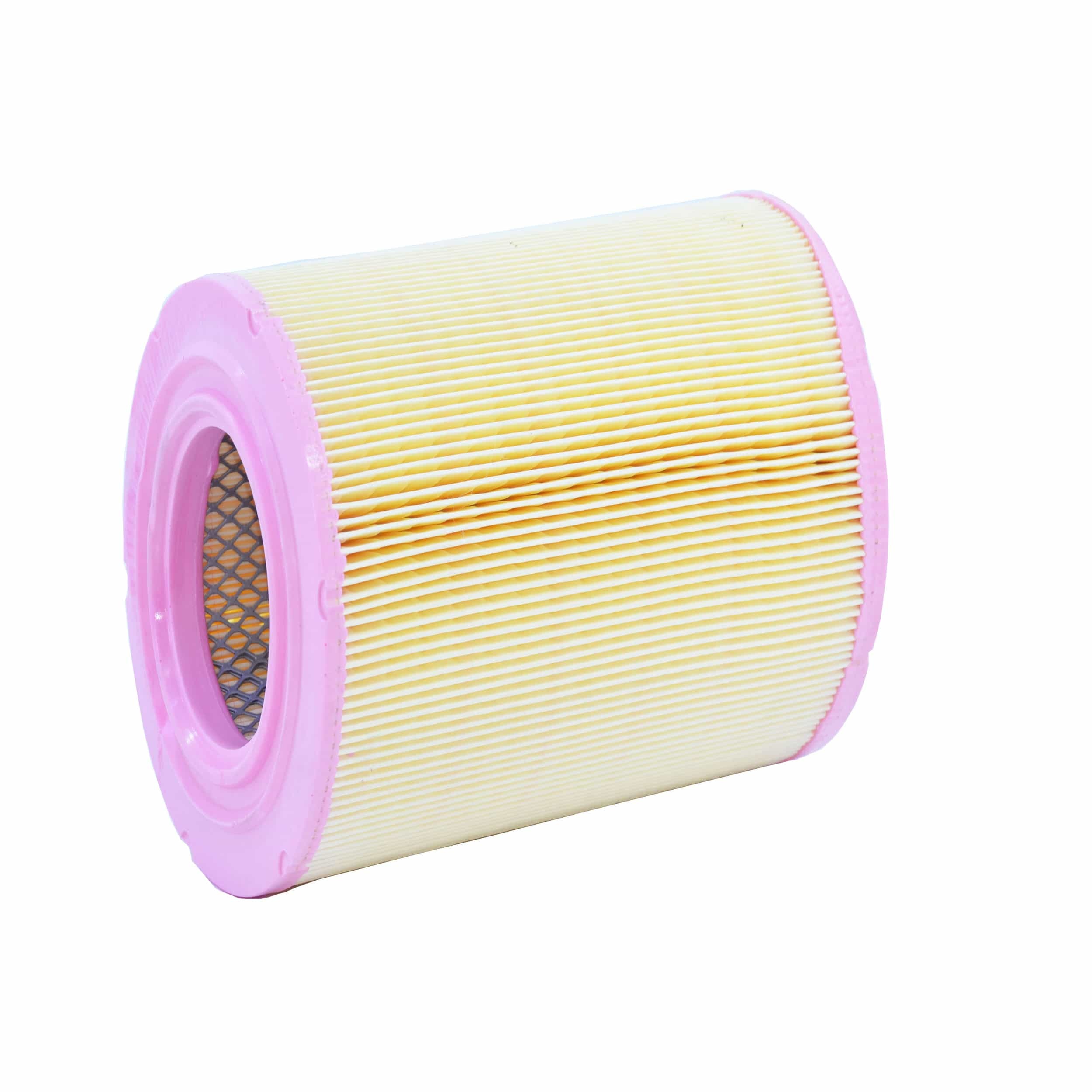 Air Filter (A2582)