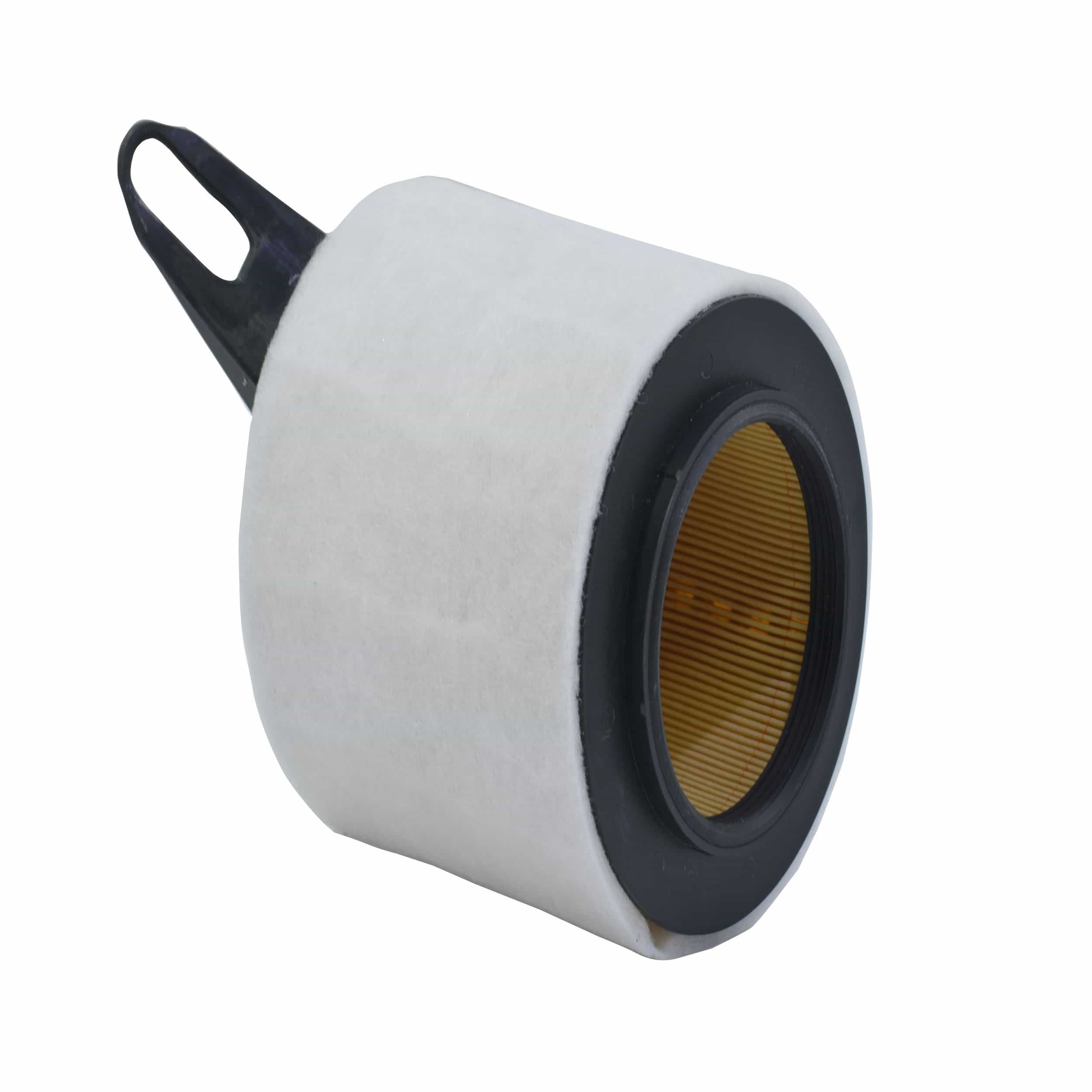 Air Filter (A2820)