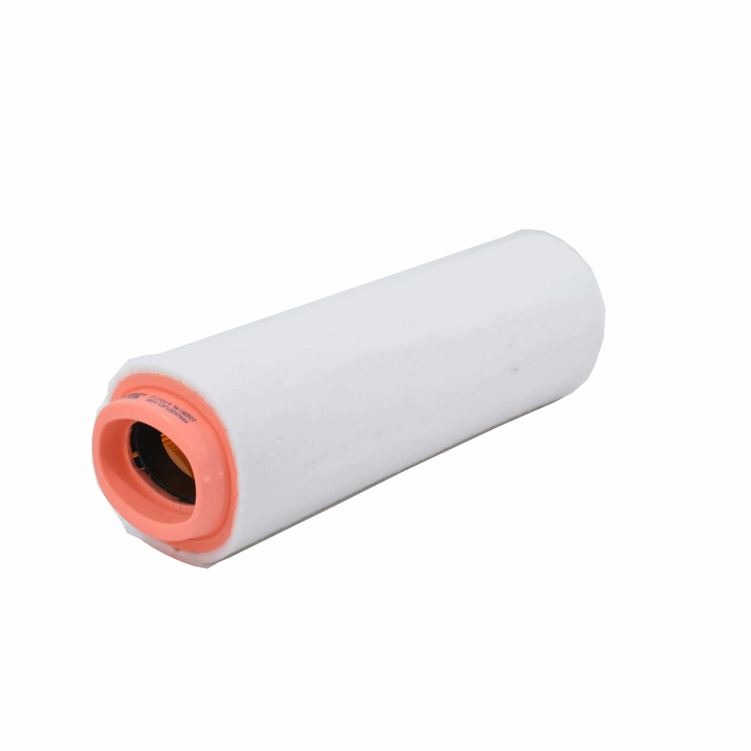 Air Filter (A2507)