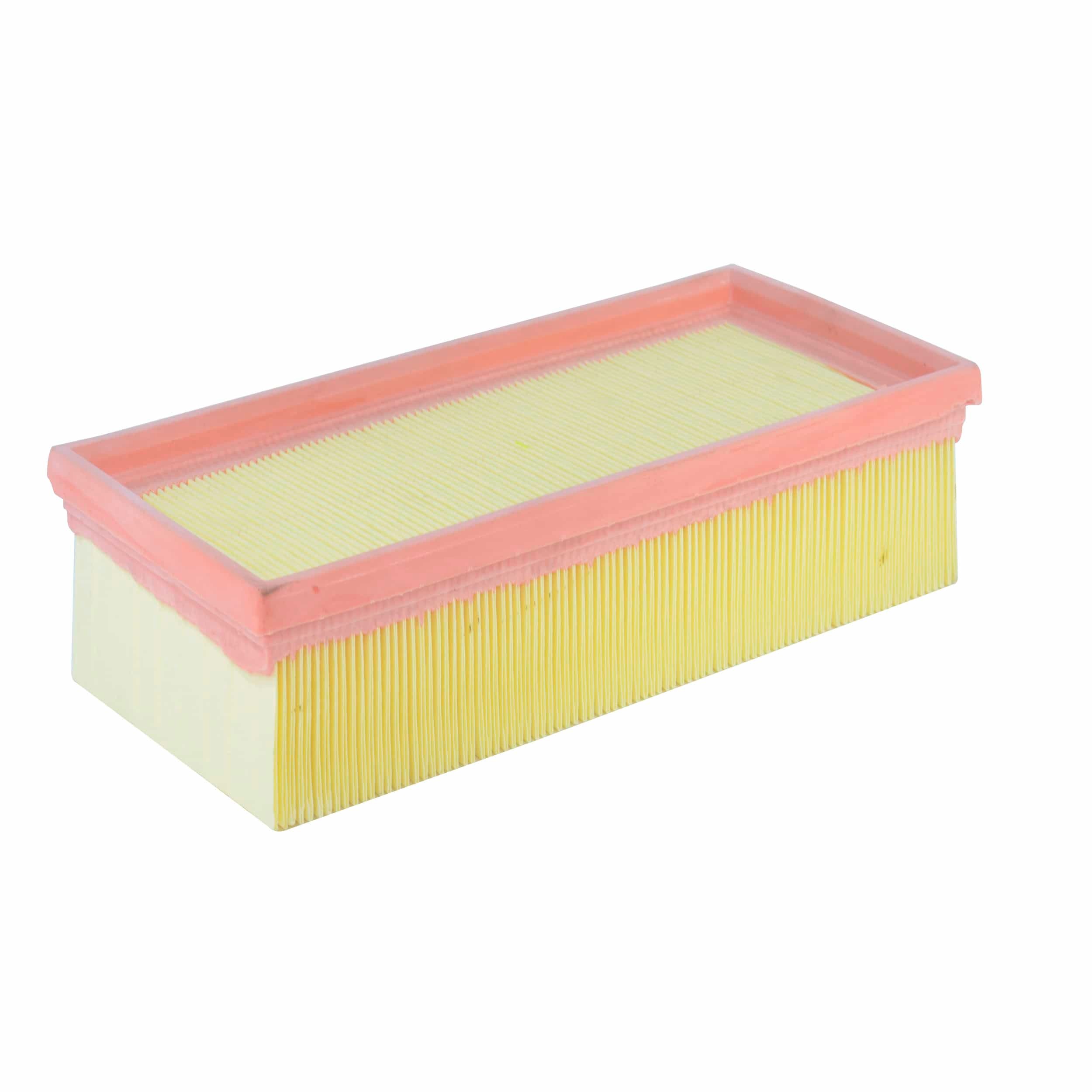 Air Filter (A1089)