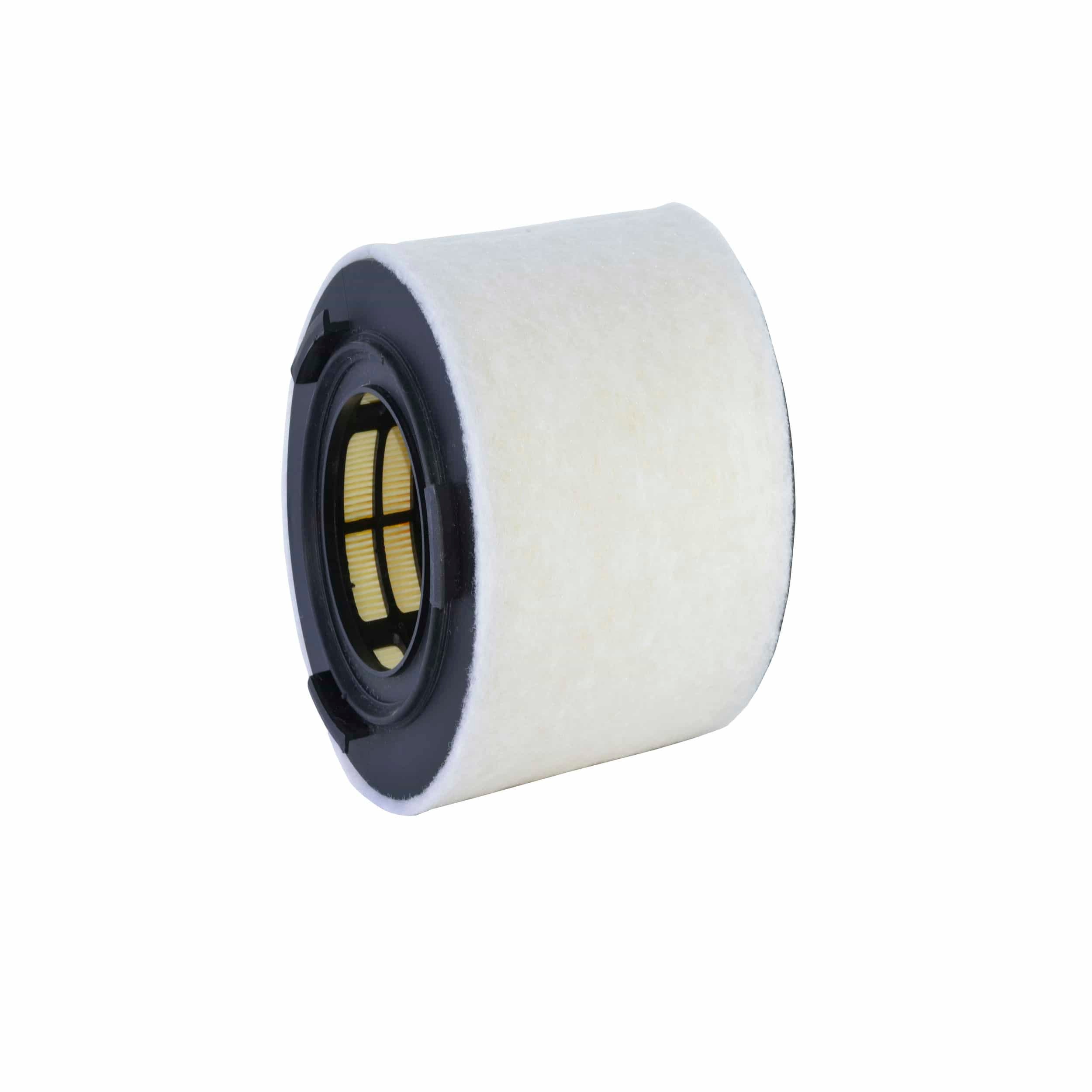 Air Filter (A2825)