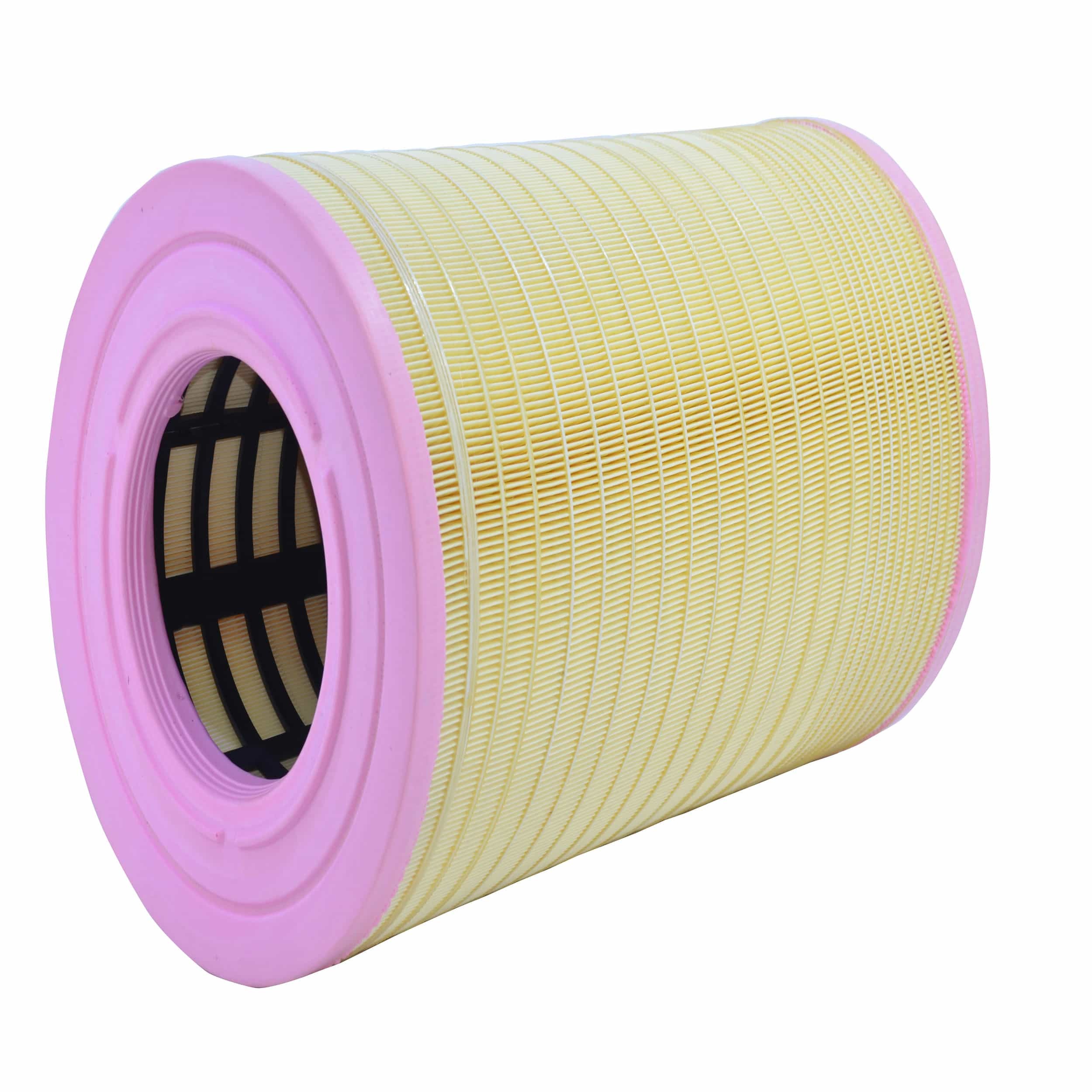 Air Filter (A2700 H)