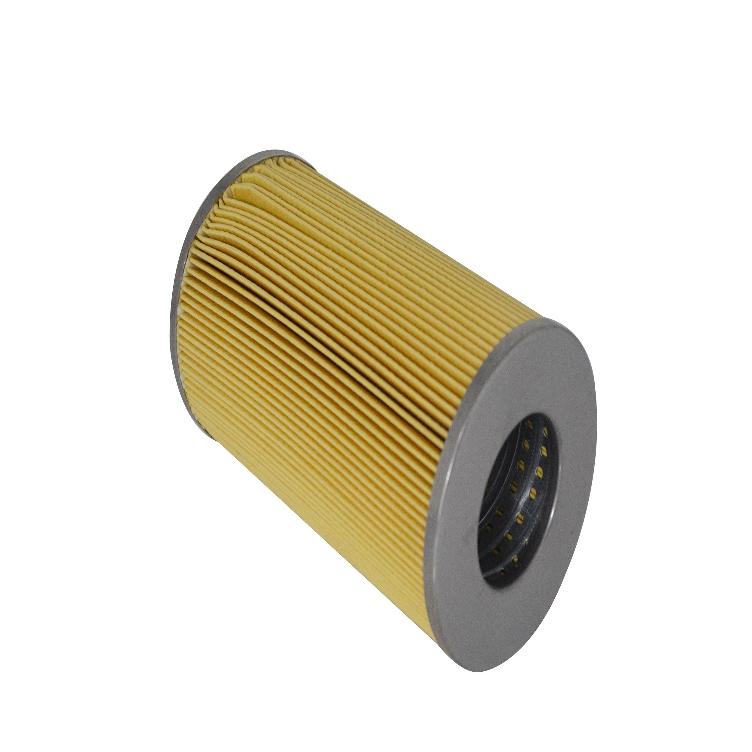 Oil Filter (L4065)