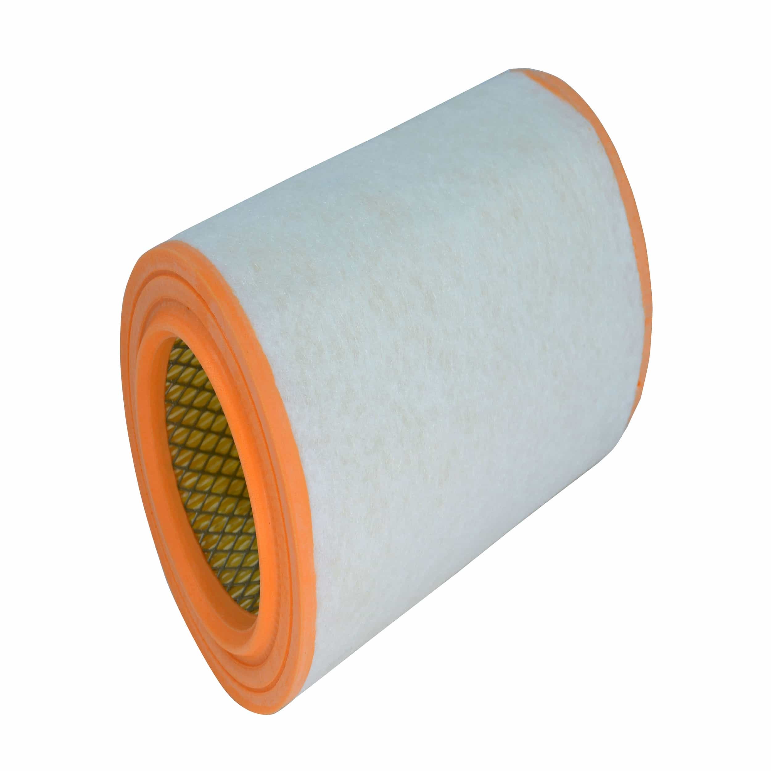 Air Filter (A2995)