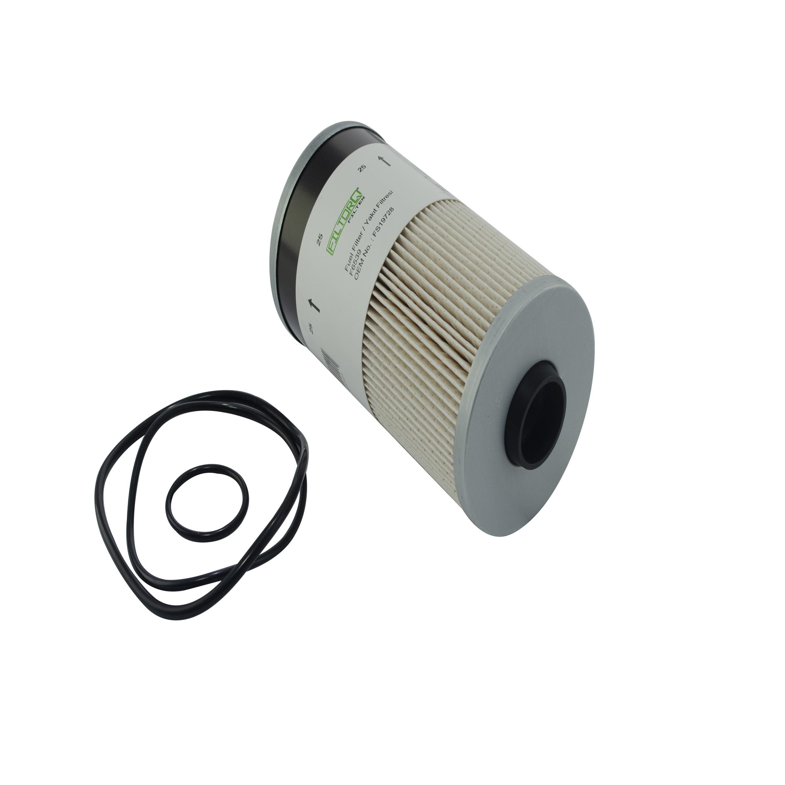 Fuel Filter (F6539)