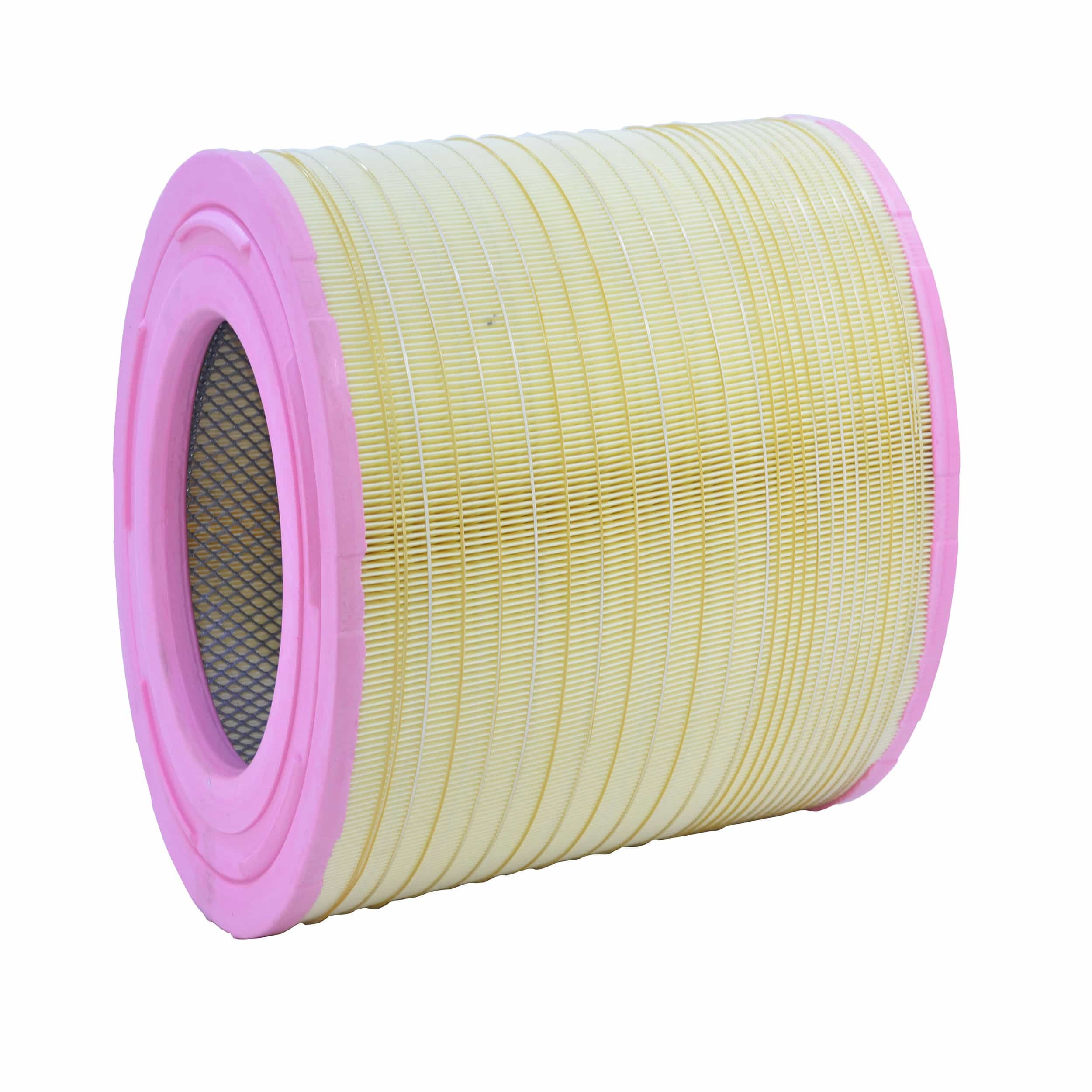 Air Filter (A2663 H)