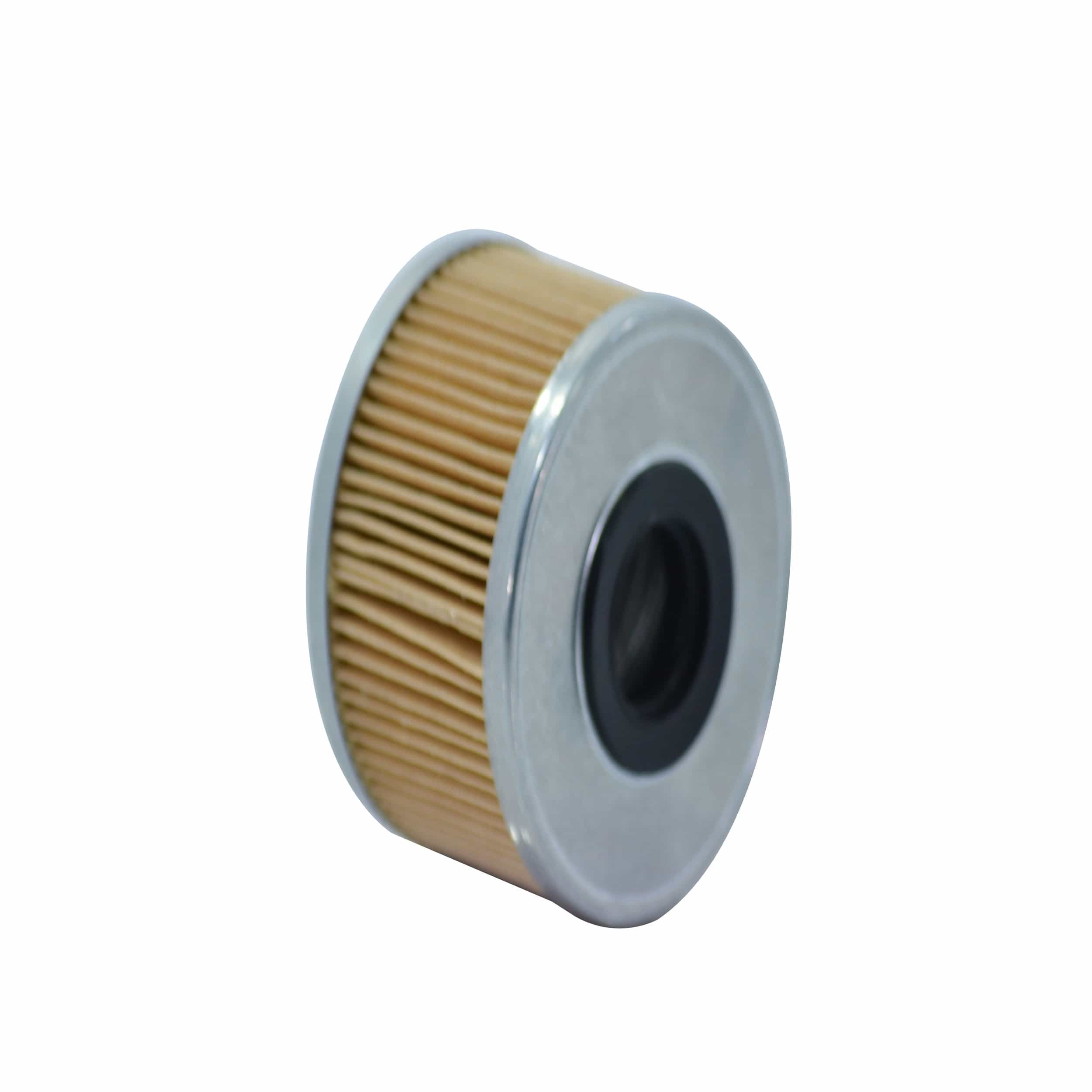 Fuel Filter (F6502)