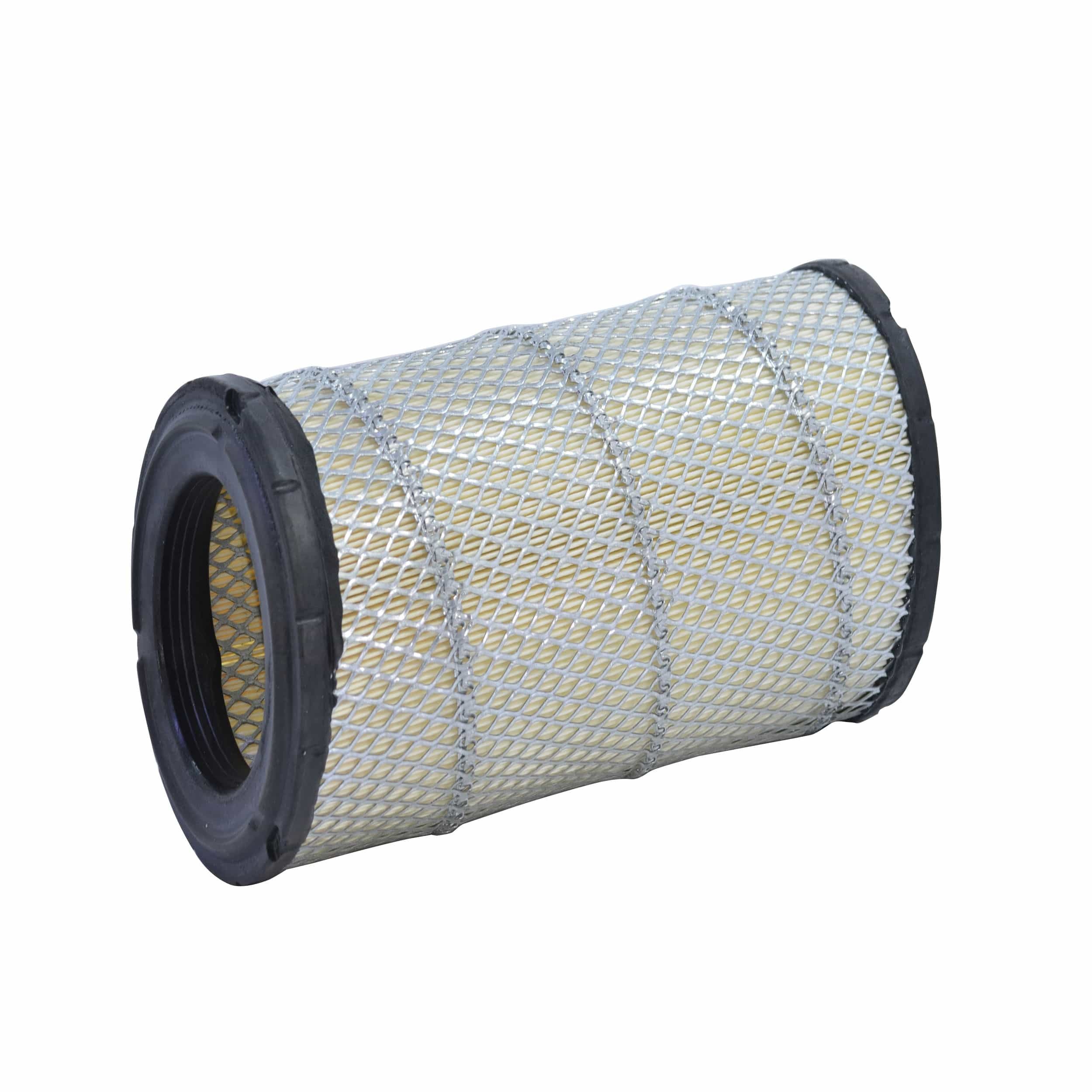 Air Filter (A2731)