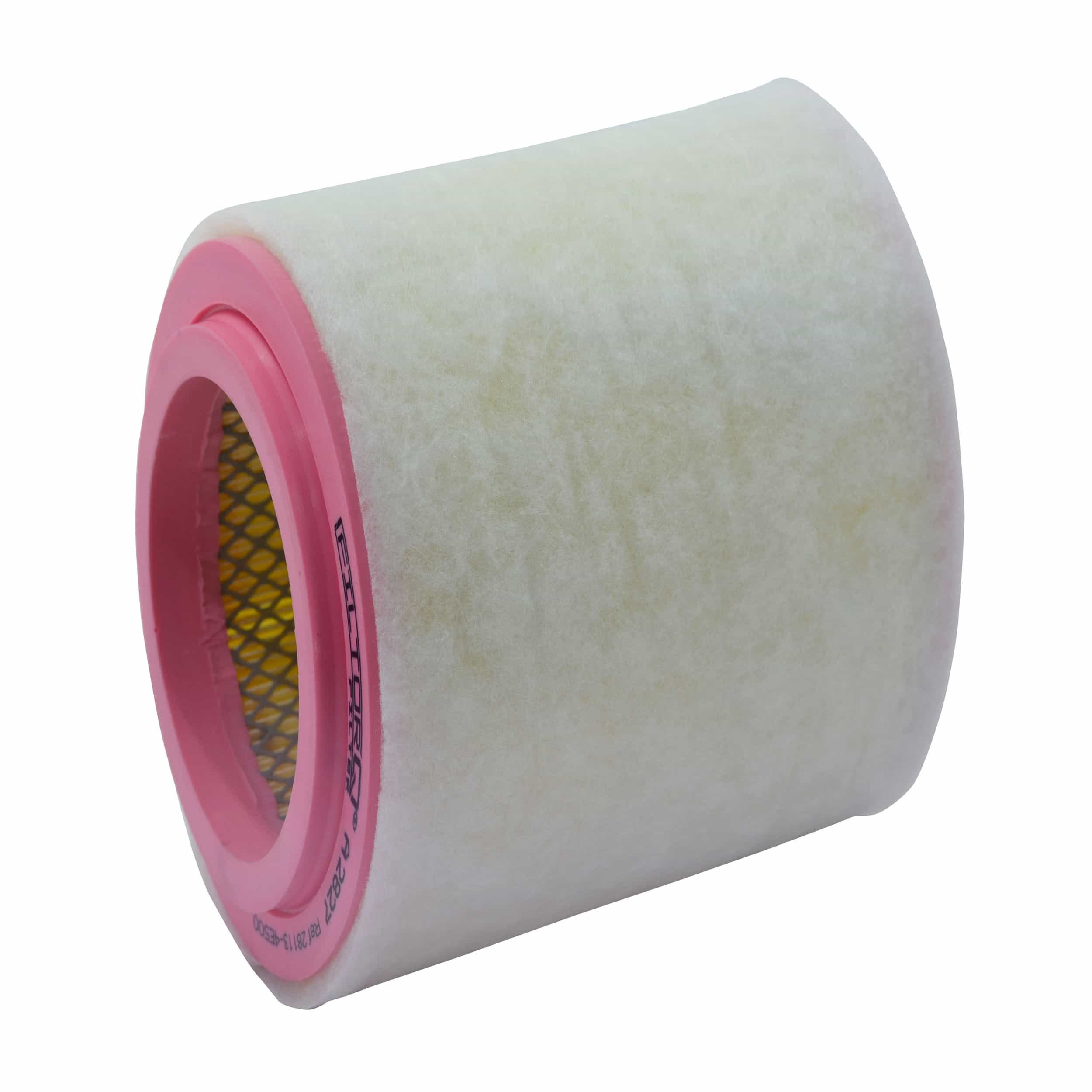 Air Filter (A2827)